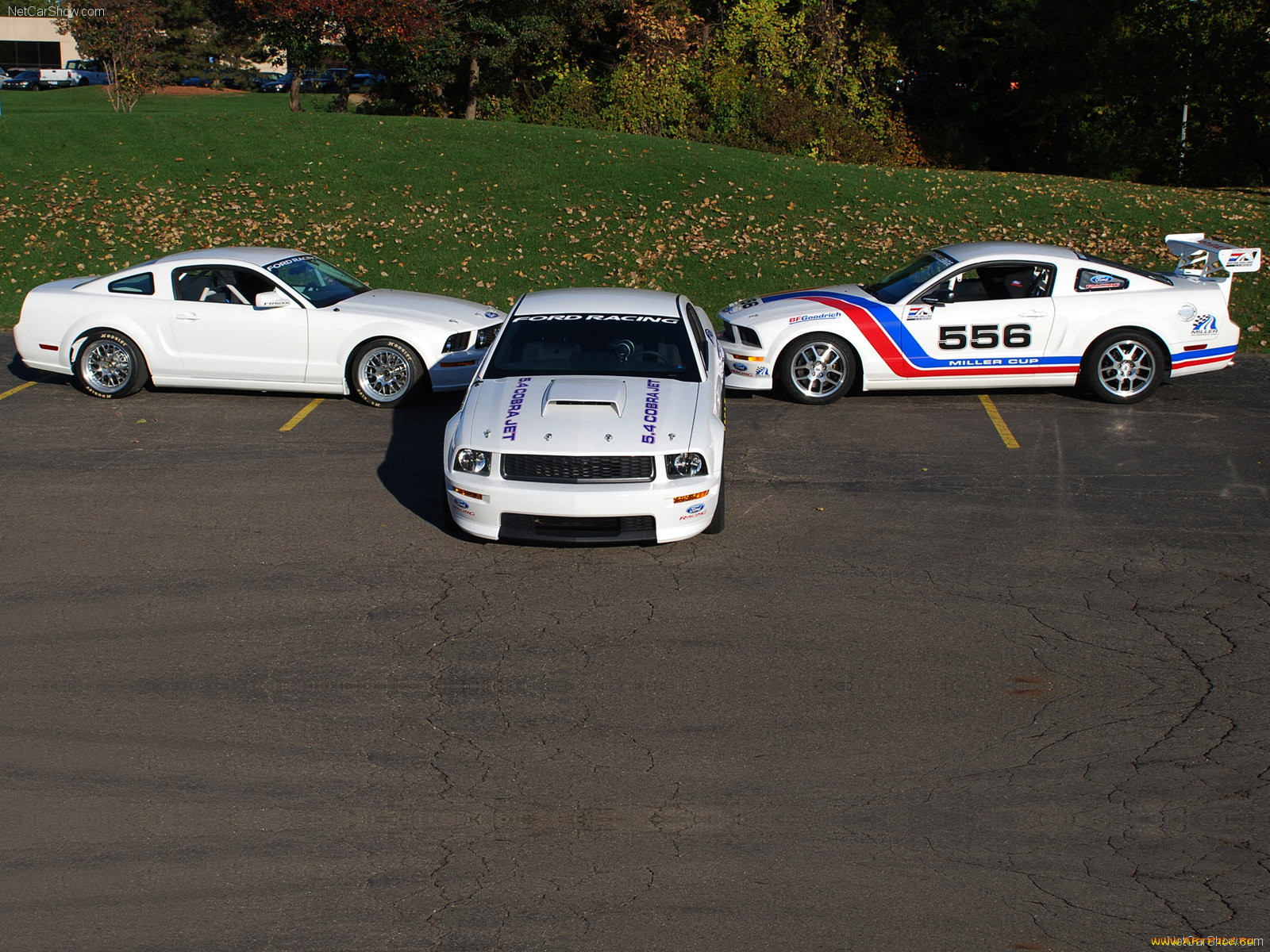 ford, mustang, fr500cj, cobra, jet, 2008, 